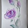 Watercolor drawing of blue Eustoma. Eustoma, commonly known as lisianthus or prairie gentian. Violet, rose, blue, green, purple, gray colors. The light, airy and expressive drawing. They are native to warm regions of the southern United States, Mexico, Caribbean and northern South America. Looks like a blue rose.

!!! Unfortunately, there is a trace on the paper, defective paper was used. It can be seen in the photo. But this trace is visible only at a certain angle.