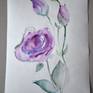 Watercolor drawing of blue Eustoma. Eustoma, commonly known as lisianthus or prairie gentian. Violet, rose, blue, green, purple, gray colors. The light, airy and expressive drawing. They are native to warm regions of the southern United States, Mexico, Caribbean and northern South America. Looks like a blue rose.

!!! Unfortunately, there is a trace on the paper, defective paper was used. It can be seen in the photo. But this trace is visible only at a certain angle.