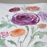 Watercolor drawing of colored Rununculus. Ranunculus asiaticus, a cultivated form from a buttercup. Looks like a rose.