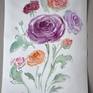 Watercolor drawing of colored Rununculus. Ranunculus asiaticus, a cultivated form from a buttercup. Looks like a rose.