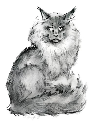 Original Illustration Cats Drawings by Vera Bondare