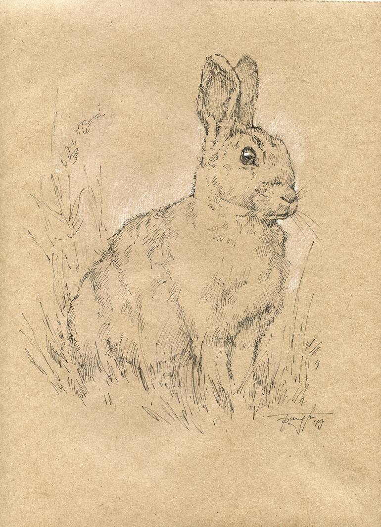Rabbit in the grass Drawing by Vera Bondare | Saatchi Art