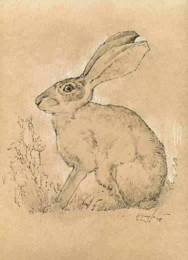 Original Realism Animal Drawings by Vera Bondare