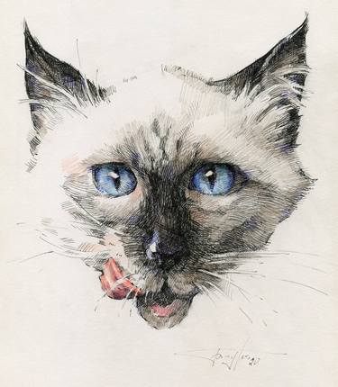 Print of Animal Drawings by Vera Bondare