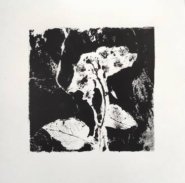 Original Abstract Botanic Printmaking by Anastasiya Timchenko