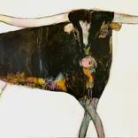 Collection January Favorites