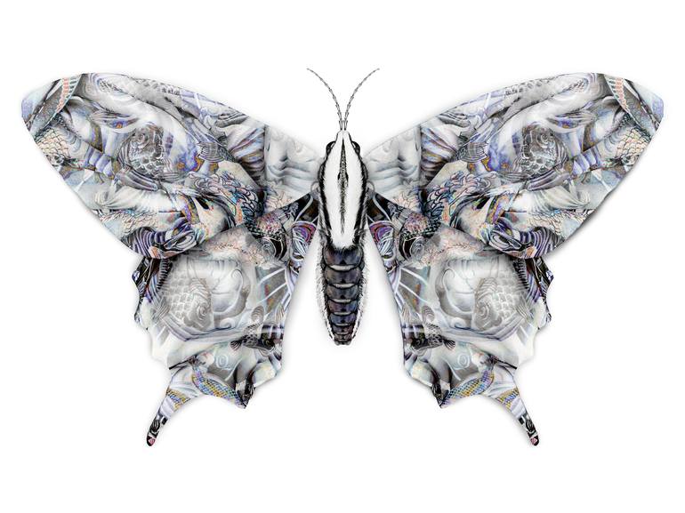 alexander mcqueen butterfly