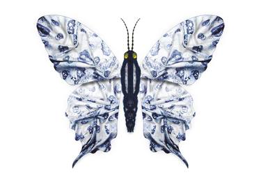 Alexander McQueen - Calvaria Butterfly thumb