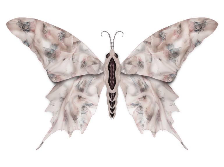 alexander mcqueen butterfly