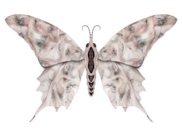 Alexander McQueen - Serico Butterfly thumb