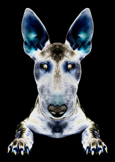 Original Portraiture Animal Photography by Alex Bland