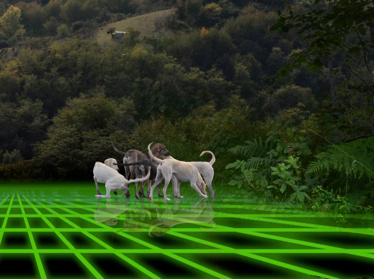 Original Surrealism Other Photography by Daphna Laszlo-Katzor