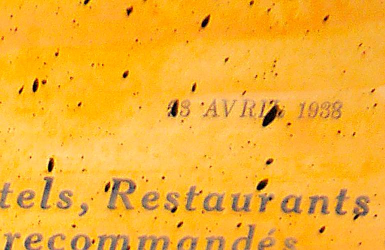 Original Expressionism Animal Painting by Bazevian Delacapuciniere