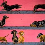 Portrait Dachshund Dog Parade  Chut les Barbizons! DOG by Bazevian DelaCapuciniere