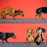 Portrait Timid Dachshund dogs Walk Chut les Barbizons! by Bazevian DelaCapuciniere