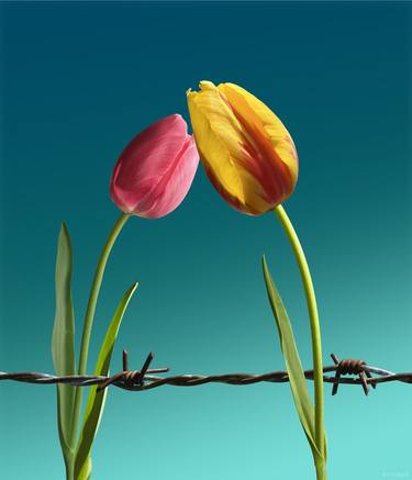 Original Realism Floral Paintings by Jean-Paul Marsman