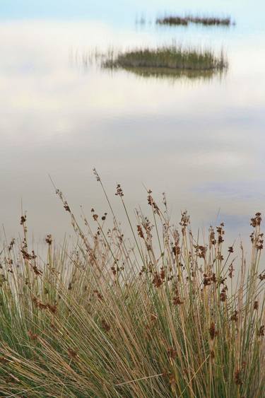 Original Abstract Expressionism Nature Photography by Spyros Lambrou