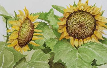 Original Illustration Botanic Paintings by Venessa Lagrand