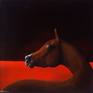a horse is portrayed in the dark of night. A bright red is in the background to give prominence to the cavvalo who turns with his long neck and looks with his wide eye.