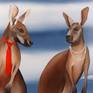 Mr and Mrs Kangaroo