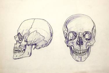 Study of the skull thumb