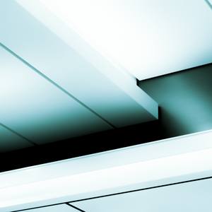 Collection architecture and urban exploration