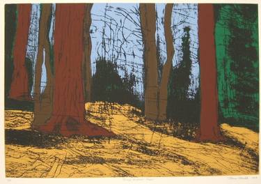 Original Expressionism Nature Printmaking by Thomas Norulak