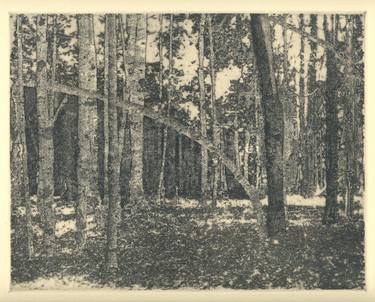 Print of Places Printmaking by Thomas Norulak