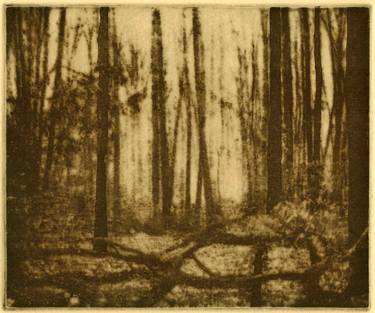 Print of Expressionism Landscape Printmaking by Thomas Norulak