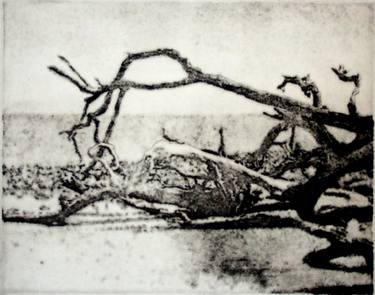 Original Landscape Printmaking by Thomas Norulak