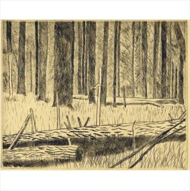 Original Landscape Printmaking by Thomas Norulak