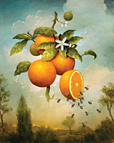 "Abundance: Oranges" limited edition print of 75,  27 sold thumb