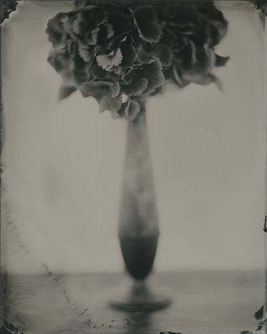 Print of Fine Art Still Life Photography by Robert Kenney