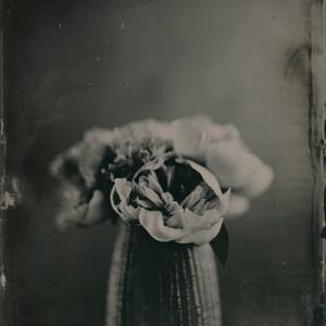 Bronson van Wyck (Event Designer)