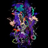Neon Stone - Limited Edition of 88 by Guang-Yu Zhang