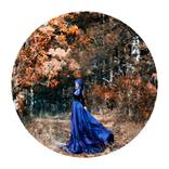 Collection Dr. Vasileios Xeniadis Chairman of the Board - SDGC GROUP