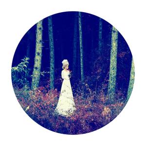 Into the Woods: Landscape Painting and Photography 