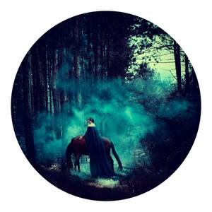 Collection Forest of no return