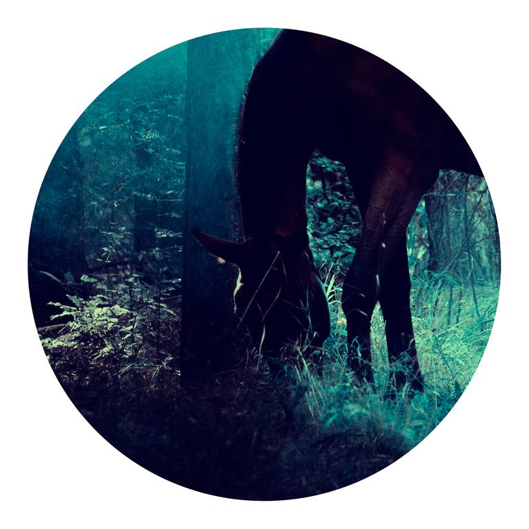 Original Figurative Women Photography by Veneta Karamfilova