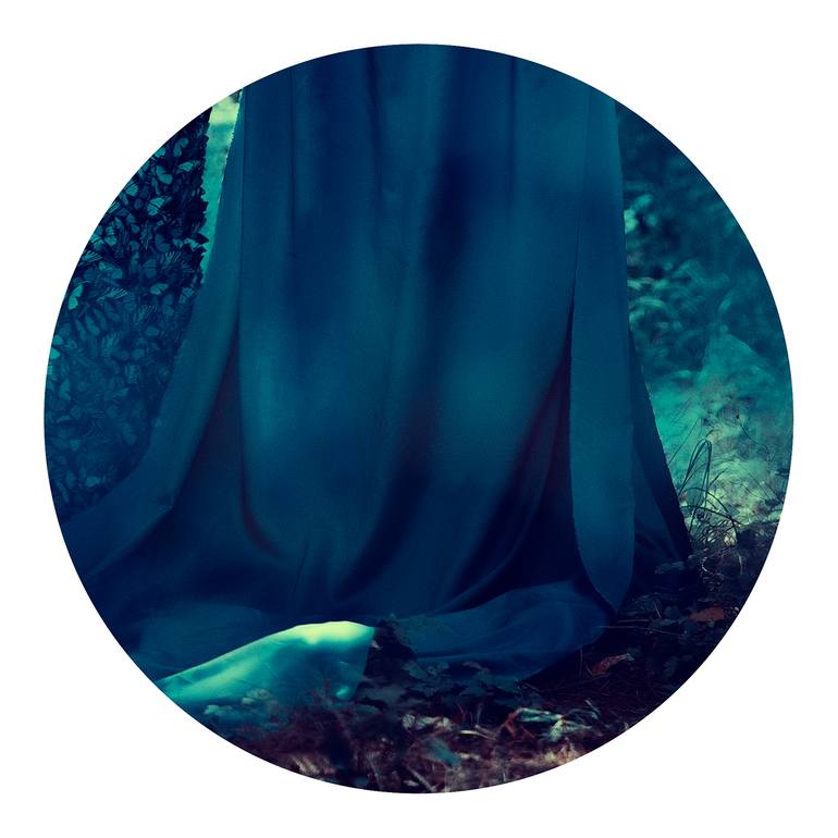 Original Figurative Nature Photography by Veneta Karamfilova