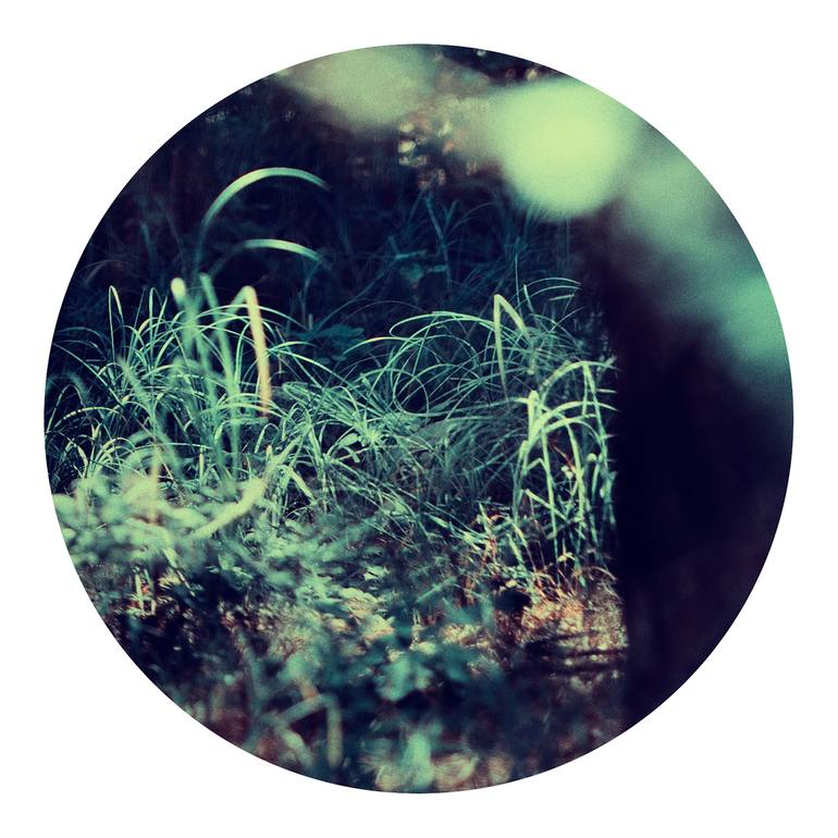 Original Figurative Nature Photography by Veneta Karamfilova