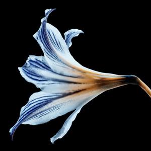 New Photography for Under $500