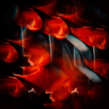 A dream in the red chamber II, Limited edition 1/50 image