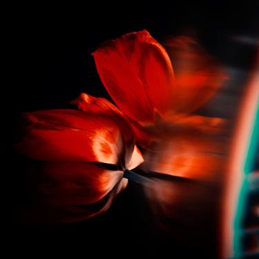 Original Fine Art Abstract Photography by Veneta Karamfilova