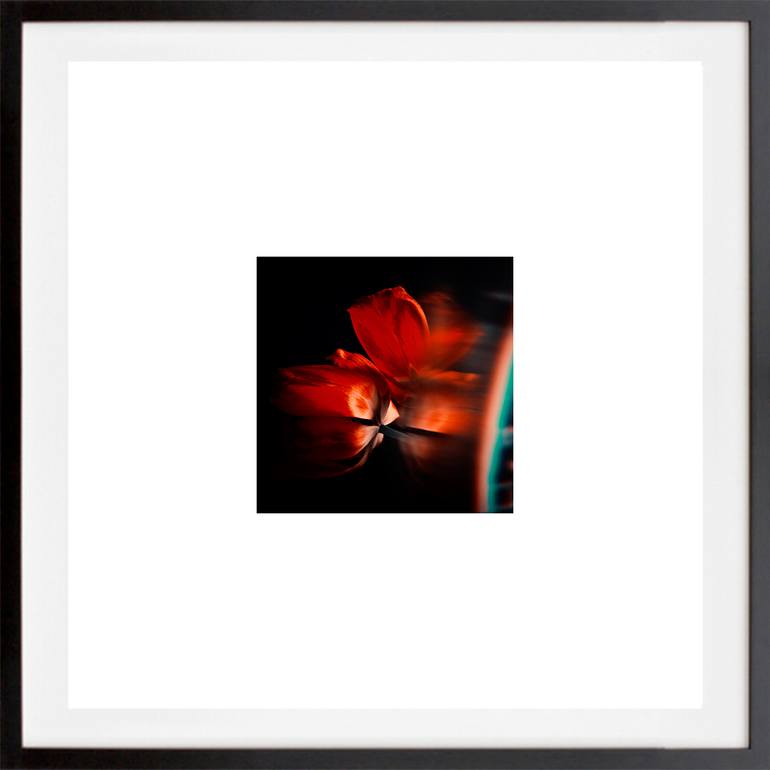 Original Other Abstract Photography by Veneta Karamfilova