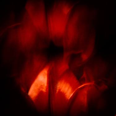 Original Abstract Photography by Veneta Karamfilova