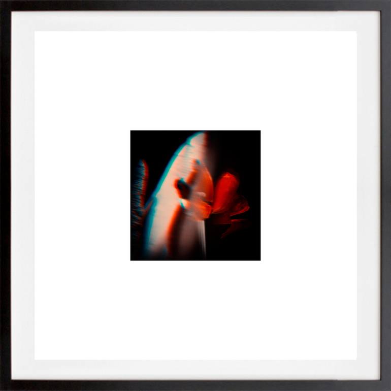 Original Abstract Nature Photography by Veneta Karamfilova