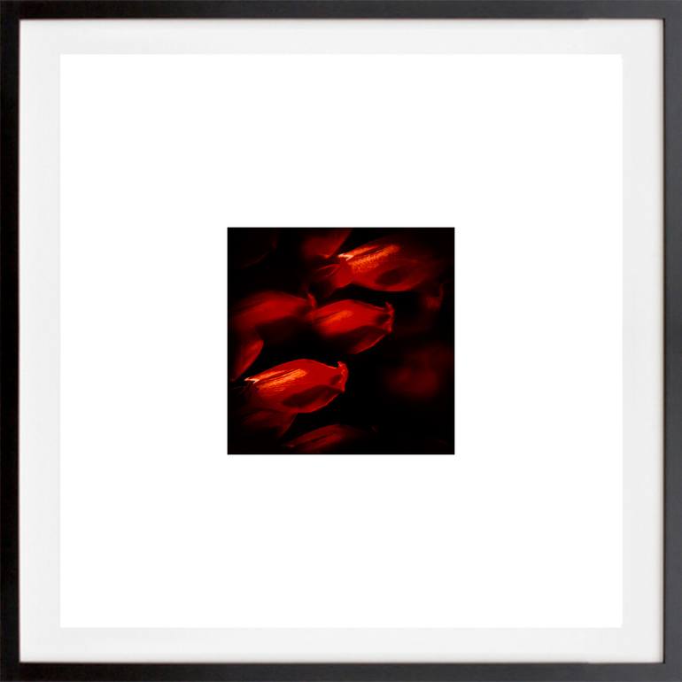 Original Other Abstract Photography by Veneta Karamfilova