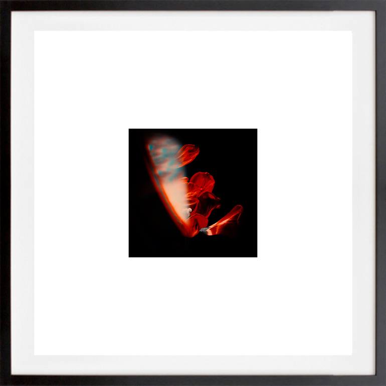 Original Other Abstract Photography by Veneta Karamfilova