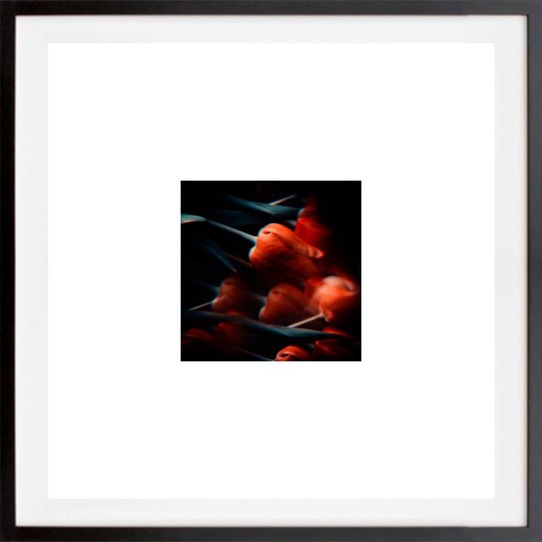 Original Abstract Botanic Photography by Veneta Karamfilova